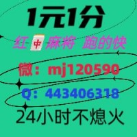 【金子招牌】上下分24小时红中麻将群@(哔哩/哔哩)